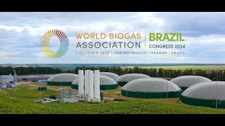 WBA   BRAZIL G20 Positioning