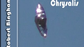 "Chrysalis" - Robert Bingham