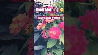 Today’s Daily Wisdom Beautiful Pink Lantena #Flowers #youtubeshorts #dailywisdom