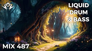 Liquid Drum and Bass Mix 487