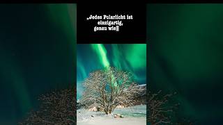 Wem wollt ihr gerne was liebes oder Danke sagen?#dankbarkeit #polarlichter #aurora #norway #norwegen