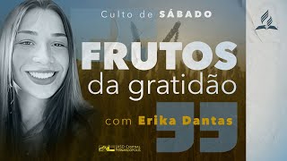 "Frutos da gratidão" (Erika Dantas) - 08/06/2024