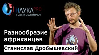 Разнообразие африканцев: расы Африки – антрополог Станислав Дробышевский | Научпоп