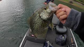 Crappie Fishing at New Melones Lake