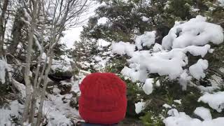 Hiking in New Hampshire (POV)