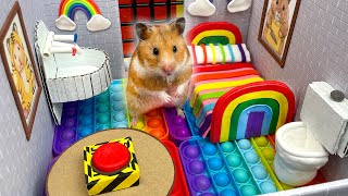 Hamster in Rainbow Pop It Maze 🐹 Escape in real life