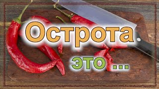 Острота ножа, что это? (серия "Заточка", часть 1/5, доп. 4/12)