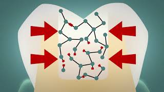 Monomer technology | 3D Company