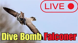 Dive Bomb Falconer Corruption Grinding | Last Epoch