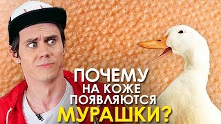 ПОЧЕМУ ВОЗНИКАЕТ ГУСИНАЯ КОЖА? - ТОПЛЕС