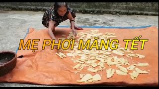 Đi Rừng Lấy Măng Cùng Em Gái Về Cho Bà Ngoại Phơi Để Ăn Tết