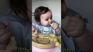 6 Months Weaning - 🫛🍐 #weaning #baby #6months #babyledweaning #blw #babynutrition #weaningfood