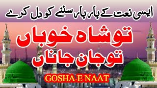 Ton Shahe Khobaan Ton Jane Jana | Naat 2024 | Gosha e naat