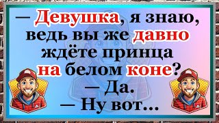 Принц на белом коне? Ожидание и реальность! | Сборник свежих анекдотов. Юмор.