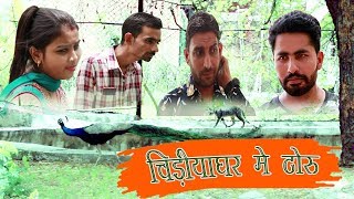 Chidiyaghar Me Toru. || चिड़ियाघर मे टोरू ||  Rajasthani Haryanvi Comedy. राजस्थानी हरयानवी कॉमेडी