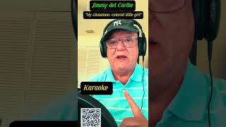 Musica es Arte. DJ Jimmy del Caribe