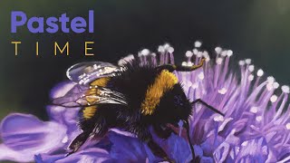 Bumblebee on a Flower in Soft Pastel - Narrated Timelapse