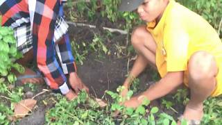 Amazing Smart Boy And Brother Catch Big Snake Using Deep Hole Snake Trap With Water Pipe