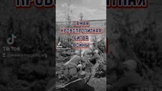 фильм «Василёк» #киноуроки #обудущем #кино #shorts