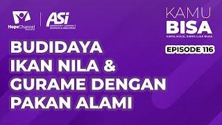 BUDIDAYA IKAN NILA DAN GURAME DENGAN PAKAN ALAMI