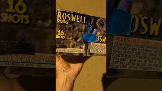 Roswell 16 Shot Firework X2