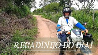 RECADINHO DO DIA! ENTÃO, VIVA! É HORA DE RECOMEÇAR!