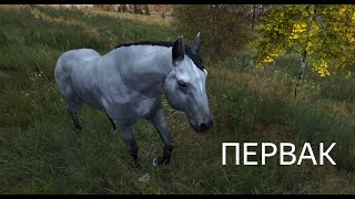 DAYZ | ПЕРВАК PVE | ОСЕННИЙ СЕЗОН 3 СЕРИЯ | АТМОСФЕРА ВЫЖИВАНИЯ В СОЛО!