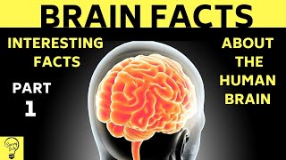 BRAIN FACTS: Interesting Facts About Human Brain Part 1