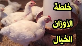 خلطة الدمار الشامل لزيادة وزن الفراخ البيضاء وتعالوا هنقولكم عليها ممتازه و....