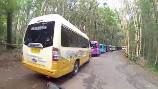 Yogyakarta tour and transport provider