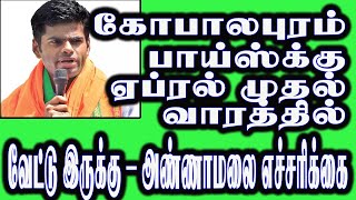 கோபாலபுரம் பாய்ஸ்க்கு ஏப்ரல் முதல் வாரத்தில் வேட்டு இருக்கு – அண்ணாமலை எச்சரிக்கை | ANNAMALAI ALERT