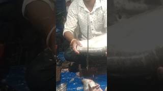 chitol fish cutting