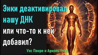 Энки деактивировал нашу ДНК иличто-то добавил к ней? Уэс Пенре и Ариэль Глэд