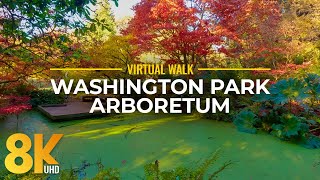 Best Autumn Seattle Attraction in 8K - Nature Walk to See Fall Colors of Washington Park Arboretum