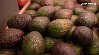 #MásqueRecetas - Te enseñamos cómo elegir un buen aguacate