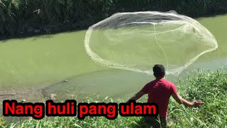 Traditional Fishing |Catching Native Tilapias |Using Net Fishing