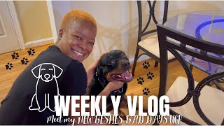 WEEKLY VLOG | MEET MY NEW BESTIES + IT'S A BAD DAY + DOING MY OWN EYEBROWS