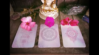 ☽ Pick a card - What spirit wants you to know about the journey ahead ☾