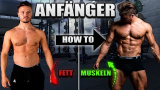 BESTE Training für BEGINNER! Meide diese FEHLER!