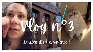 🎬 [VLOG ÉCRITURE] Réécriture de l'Oiseau de feu - VLOG n°3