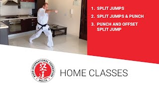 Kudo Home Class 5 - Split jumps & punches