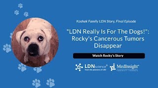 "LDN Really Is For The Dogs!": Rocky's Cancerous Tumors Disappear