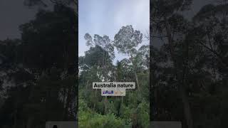 Australia nature 🇦🇺🇦🇺#canguri #australiaitalia #itaaustralia