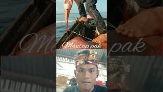 bpk ini dapat ikan monster gaes😱😱#ikanmonster#videoshort#likekomendansubscribe#