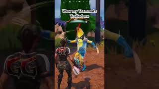 Fortnite My Teammate Trolled Me #fortnite #youtubeshorts #fortniteclips #shorts #fortnitebr