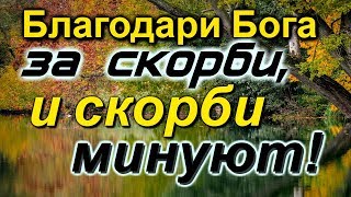 Ничего не бойся! Благодари Бога за скорби и скорби минуют!