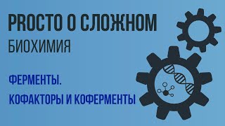 PROСТО О СЛОЖНОМ Кофакторы и коферменты, биохимия №8