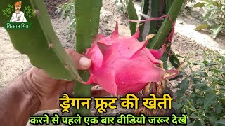 ड्रैगन फ्रूट की खेती कैसे करें | how to do Dragon fruit farming |Dragon fruit farming | Kisan Mitra