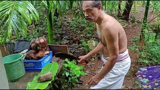 mathanga halva മത്തങ്ങ ഹൽവ