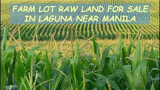 #89  AVAILABLE - FARM LOT RAWLAND for Sale in Laguna Philippines